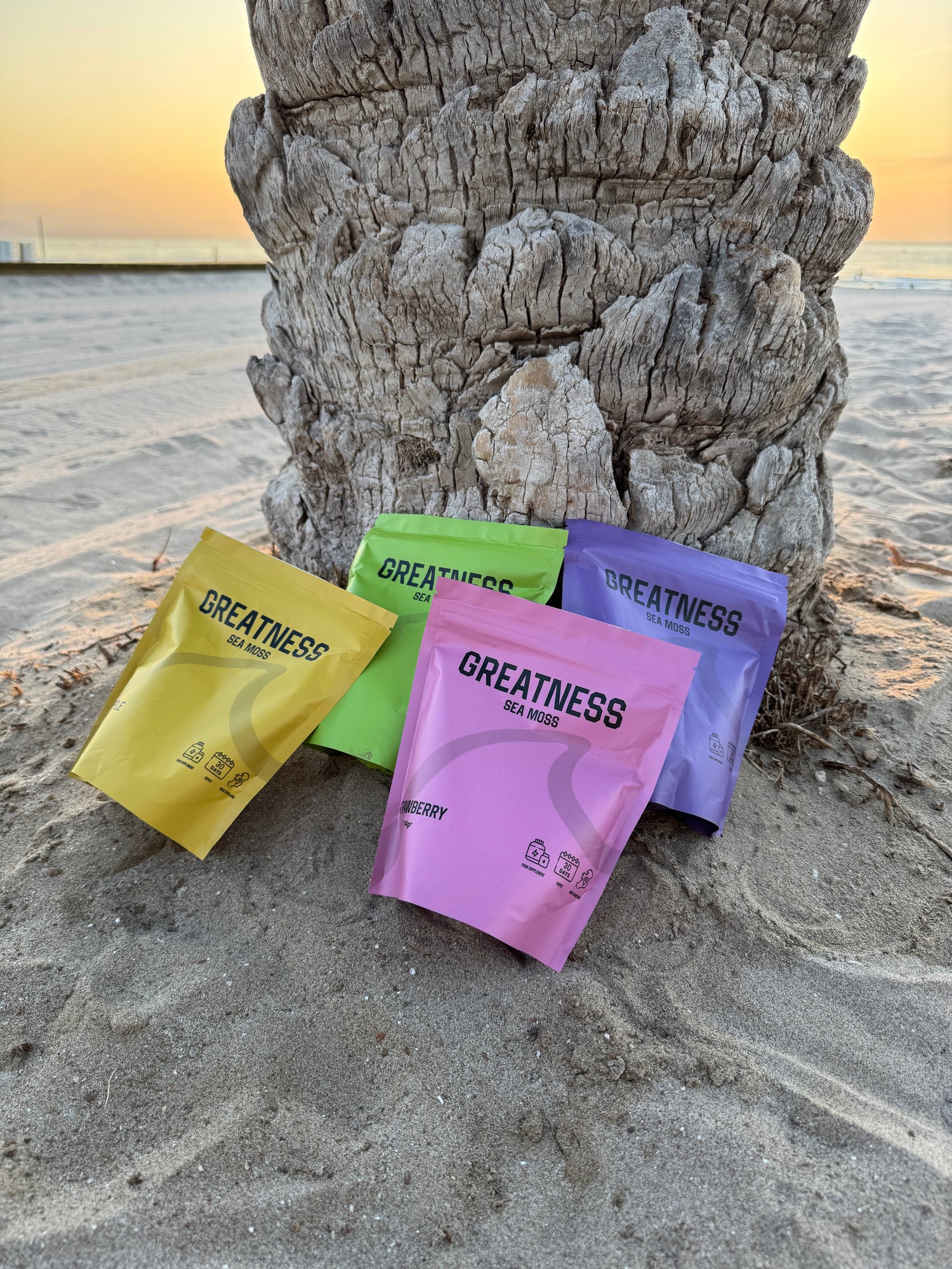 Cómo tomar Sea Moss: dosis, mejores momentos, recetas y precauciones